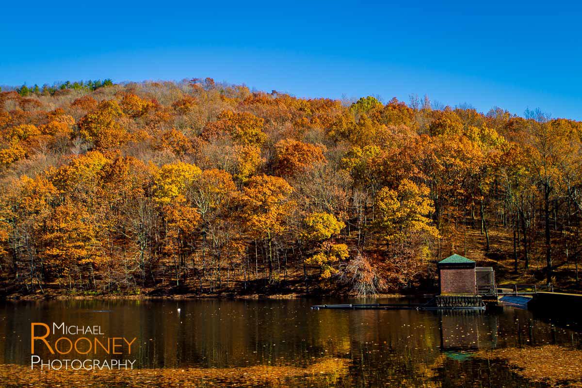 fall foliage chauncey peak giuffrida park bradley hubbard reservoir meriden connecticut