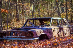 fall leaves abandoned car giuffrida park meriden connecitcut