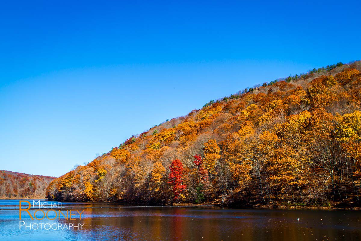 fall foliage chauncey peak giuffrida park bradley hubbard reservoir meriden connecticut