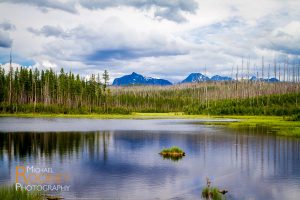 howe lake glacier national park montana