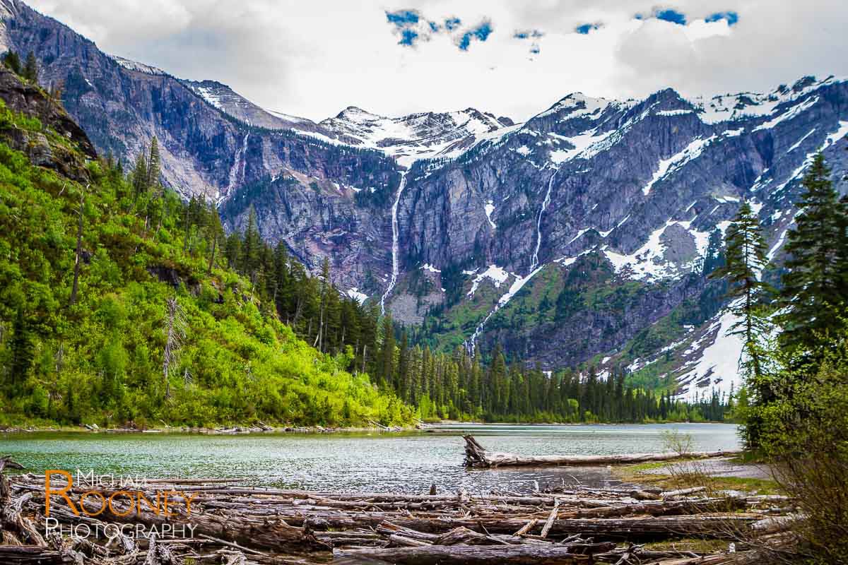 avalanche lake logs glacier national park montana