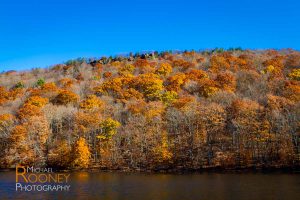 fall foliage chauncey peak giuffrida park bradley hubbard reservoir meriden connecticut