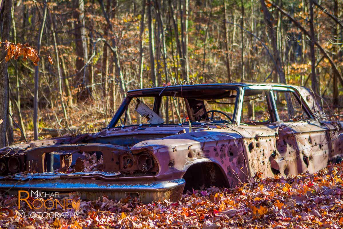 fall leaves abandoned car giuffrida park meriden connecitcut