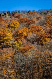 fall foliage chauncey peak giuffrida park bradley hubbard reservoir meriden connecticut
