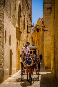 horse carriage tourism narrow alley street mdina malta sunny historic