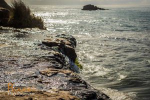 alamere falls waterfall point reyes national seashore california nature coast pacific ocean