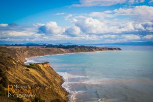 point reyes national seashore california nature coast pacific ocean