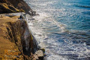 alamere falls waterfall point reyes national seashore california nature coast pacific ocean