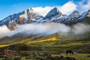 bhutan thombu la valley horse graze light morning fog mist mountain snow