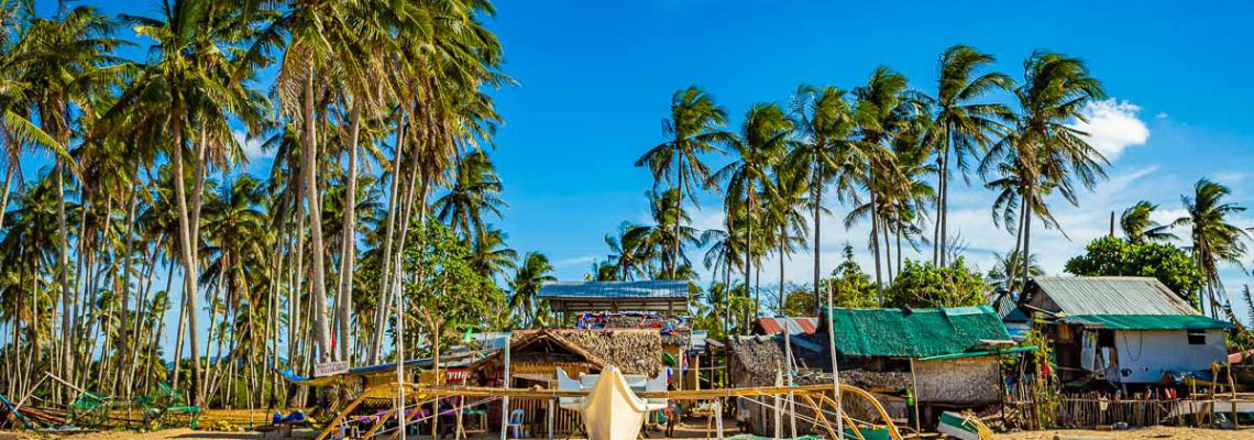 boat beach palm tree maintenance repair nacpan beach el nido palawan philippines