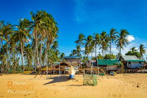 boat beach palm tree maintenance repair nacpan beach el nido palawan philippines