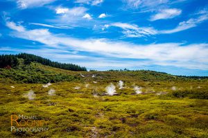 craters moon park taupo new zealand