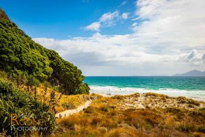 mangawhai heads beach new zealand