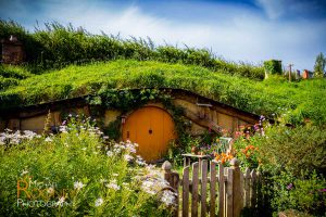 hobbit hole hobbiton matamata new zealand