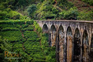nine arch bridge ella sri lanka tea train tea hill railroad